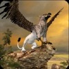 Clan of Griffin(ʨ��ģ����2020���°�)