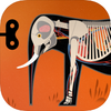 Tinybop���鶯��