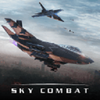 ��ս(Sky Combat)���İ�ͼ��