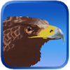Eagle Hunting Journey(ӥ����֮��2020���°�)