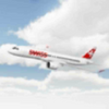 ��ʿģ�����(LX Flight Simulator)���İ�