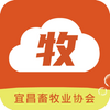 �˲�����app
