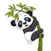 ��è��ͼapp