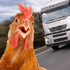 Chicken Challenge 3D(��·����������(Chicken Simulator))v1.4.2��׿��