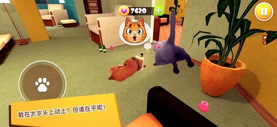 èģ3D(Cat Simulator 3D)