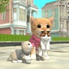 CatSim������ģ��è��ͼ��