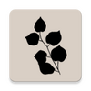 Presently�ռ�