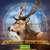 Wild Sniper Hunter(��Ұ�ѻ�����)