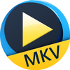 MKV������Aiseesoft Free MKV Player