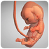 ��̥����(9 Months)v1.13.1 2026�ٷ����İ�