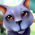 è��ģ����3D(Cat Simulator 3D)v1.0.0 2026�ٷ����İ�
