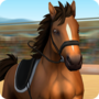 ShowJumping(����Խ�ϱ�����Ϸ)