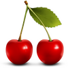 2020Ӣ�ﵥ�ʸ�ϰͼ��
