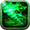 ��������app
