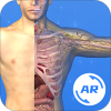 AR����ͼ��