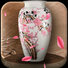 ��������app
