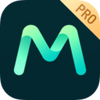 MshowPro��������
