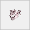 DCTViewer (CBCT�鿴��)