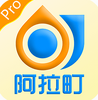 �����Pro