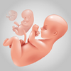 9 Months(�Ÿ�����Ϸ���İ�2020���°�)