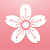����ʵ�app
