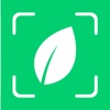 plantyxֲ��ʶ��