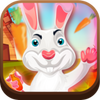 Buddy The Bunny(�͵��������ĺ�����)