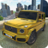 ����G63ģ����
