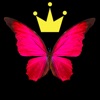 FLY ��ֽapp