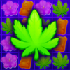 Tasty Buds - Match 3 Idle(��ζ�Ļ���)