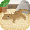 �ڻ�����