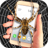 ������Ļ2���°�app