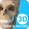 ά����3D��������app