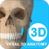 ά����3D��������appv6.6.1��׿��
