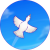 skyward journey���֮��