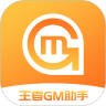 ����GM����