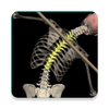 Posture(��̬����ģ��)