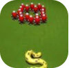 Snake King(��������С��)