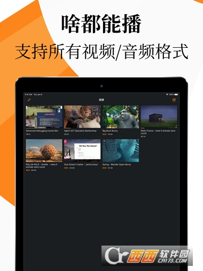 VLC Media Player(Mac°)
