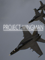 ŻƻProject Wingman