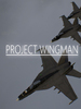 �Ż��ƻ�Project Wingman