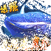 �����۷�����