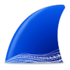 Wireshark������