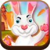 Buddy The Bunny(�͵����ӳ��ܲ�)