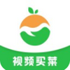 �ڲ˳�ƻ����