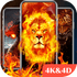 4D Wallpaper�ٷ��ֻ���appv1.56��׿��