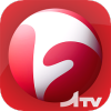 ��������ATVapp