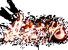 ������Ǵ������