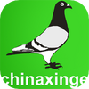 �й��Ÿ���Ϣ��app