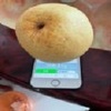 ���ؿ��ָ��app